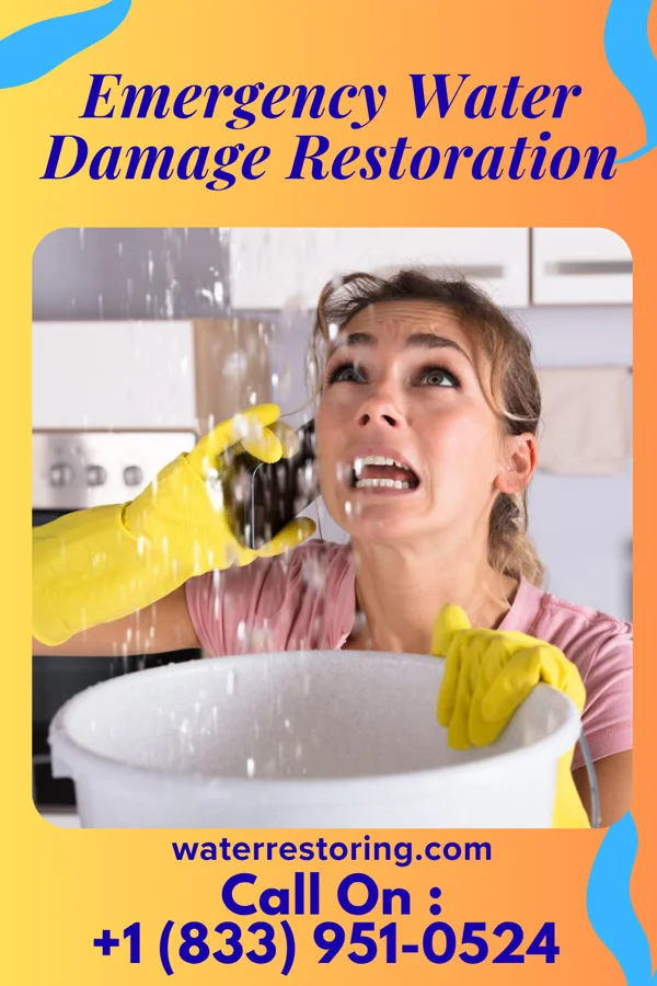 Emergency Water Damage Restoration in Aldrich, MO